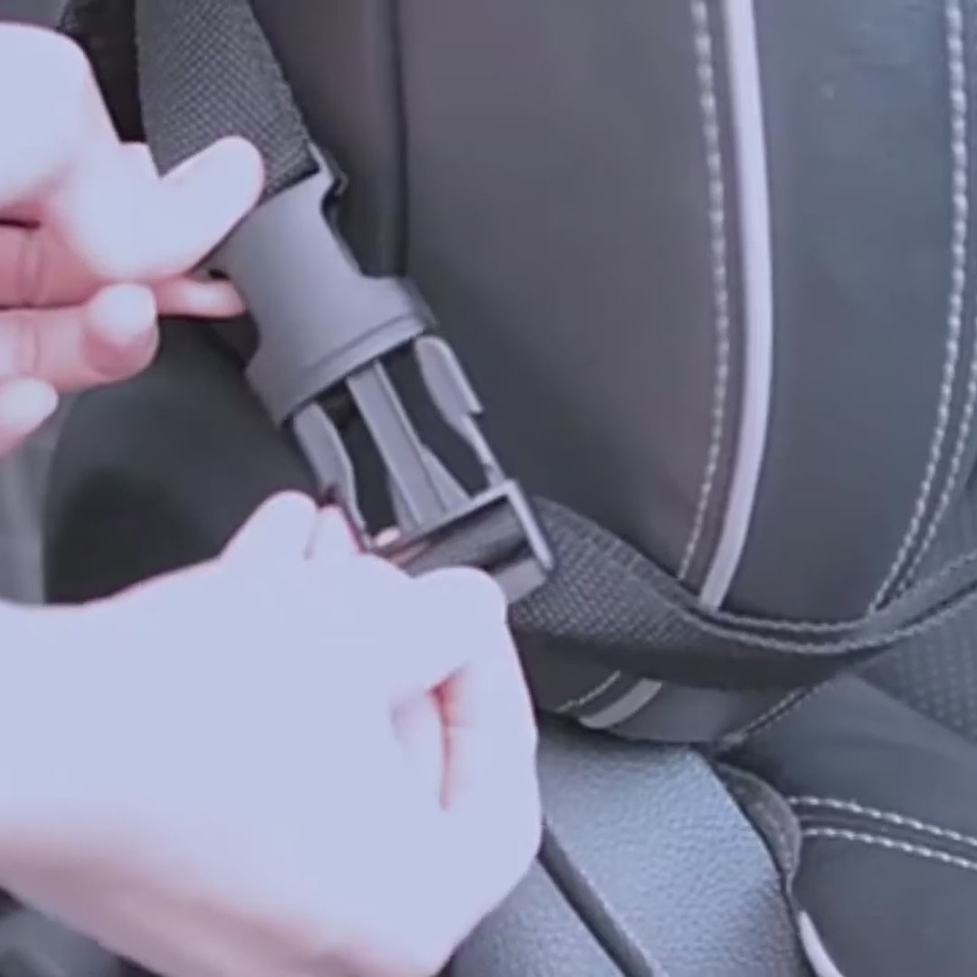 organisateur de voiture pour siège arrière
